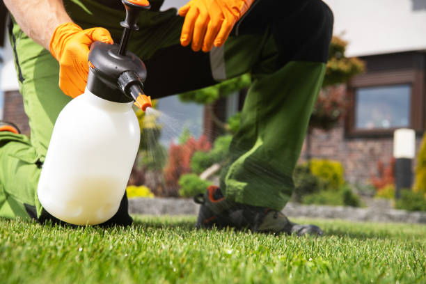 Best Ant Control Services  in New Sharon, IA