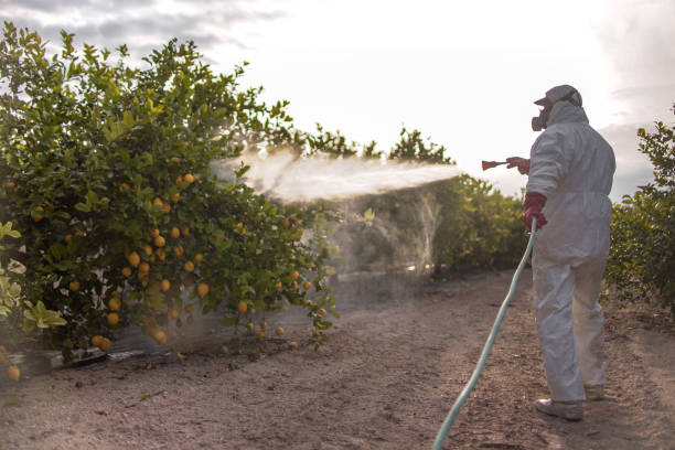 Best Best Pest Control Companies  in New Sharon, IA