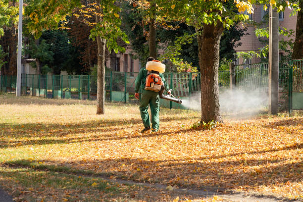 Best Pest Inspection Near Me  in New Sharon, IA