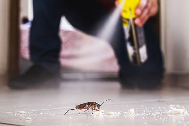 Best Best Pest Control Companies  in New Sharon, IA