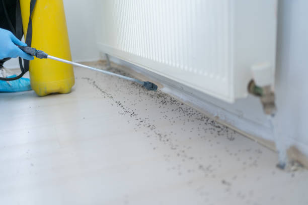Best Pest Removal Services  in New Sharon, IA