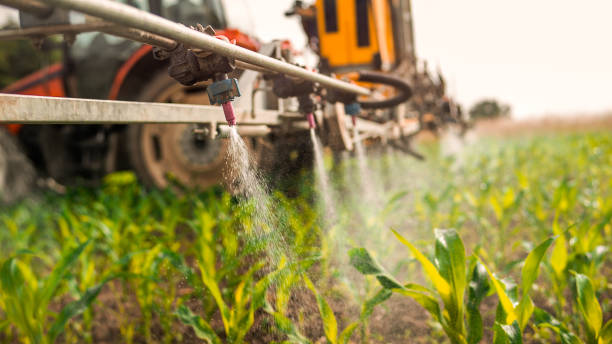 Pest Prevention Services in New Sharon, IA